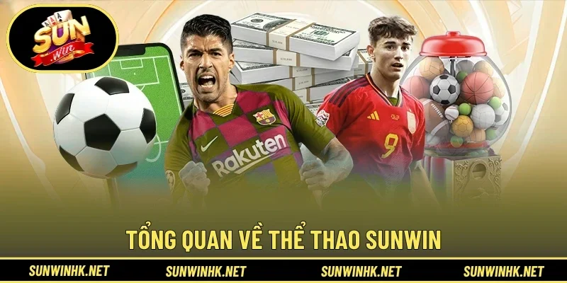Đôi nét chung về thể thao Sunwin